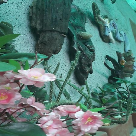 Hotel Del Sur ซาน ลอเรนโซ ภายนอก รูปภาพ
