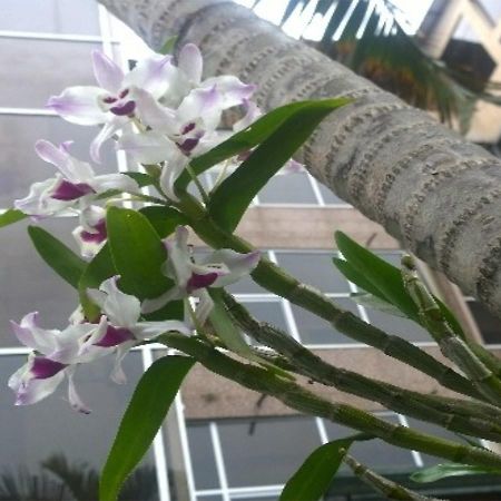 Hotel Del Sur ซาน ลอเรนโซ ภายนอก รูปภาพ