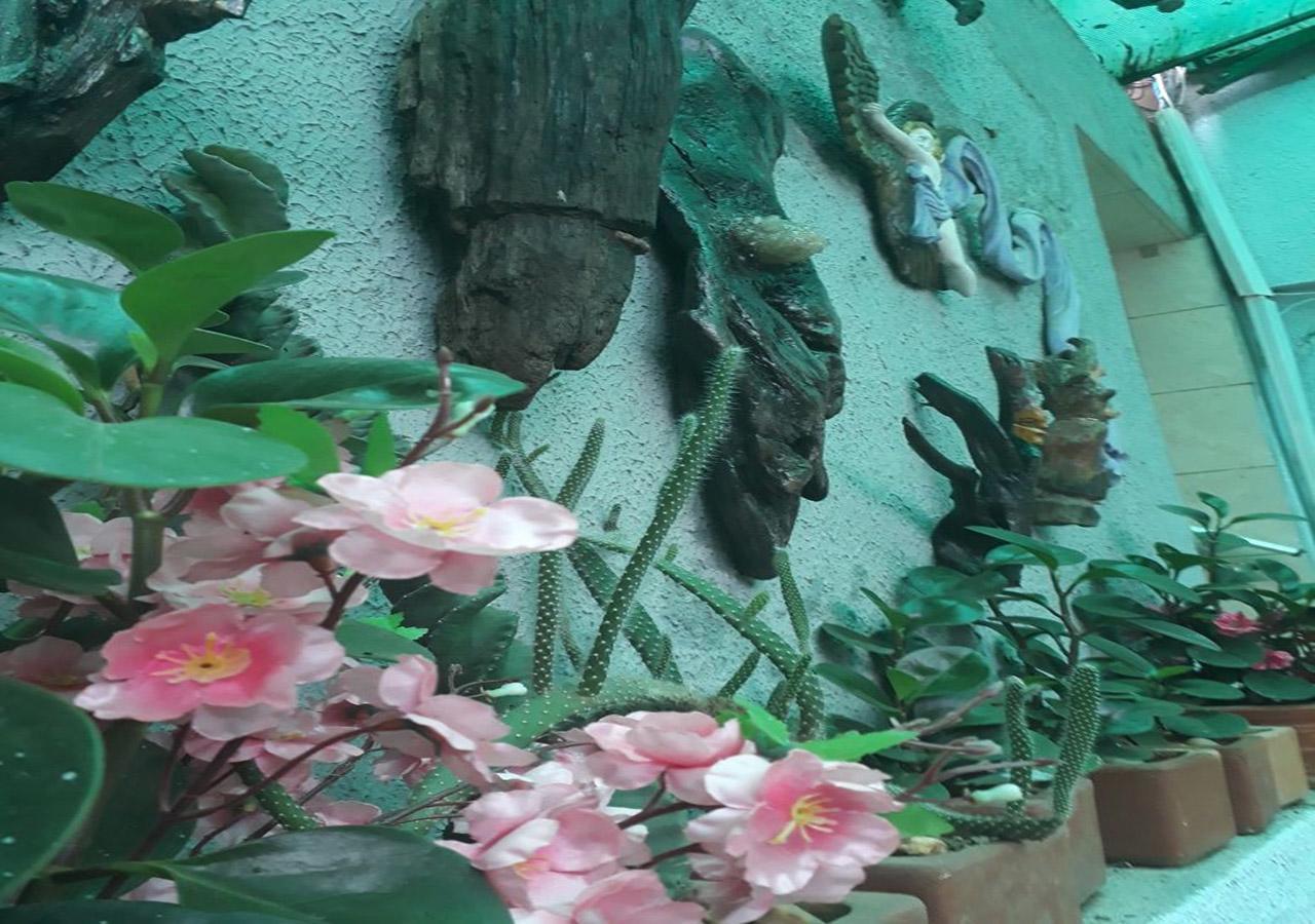 Hotel Del Sur ซาน ลอเรนโซ ภายนอก รูปภาพ